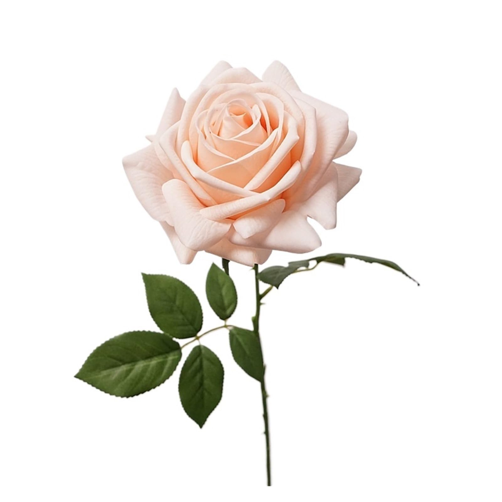 Casetlong 5Pcs Artificial Flower Mariage Decor Bouquet Wedding Event Party Arrangement Home Flore(Light champagne)