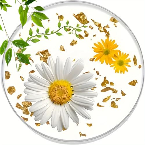 Image of 6pcs Daisy Design Wooden Coasters, 4inch Round Hand-Washable Coasters, Suitable Home Decoration, Easter, Valentine's Day, Mother's Day, Coffee Table