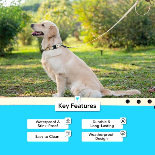 Image of Adil's Biothane Waterproof Dog Collar, Dog Leash & Collar Leash Combo | Heavy Duty TPU Coated Webbing | Adjustable Quick Release Buckle | Odour Resistant (Lemon White, M-18, Leash Only)