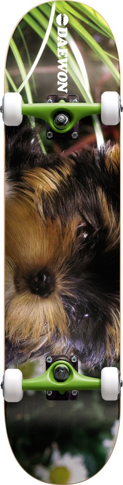 AlmostDoggy R8 Daewon Full Complete Skateboard (Multi, 7.75-Inch)