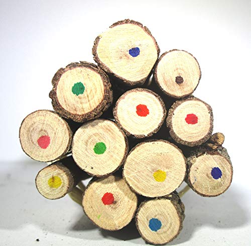 World Buyers Multi Colored 12 Pencil Pack Wood And Twig Branch Pencils- 5 Inch #TOP4
