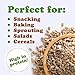 Food to Live Sunflower Seeds, 8 Pounds – Non-GMO Verified, Kernels, No Shell, Kosher, Raw, Vegan, Sirtfood, Bulk