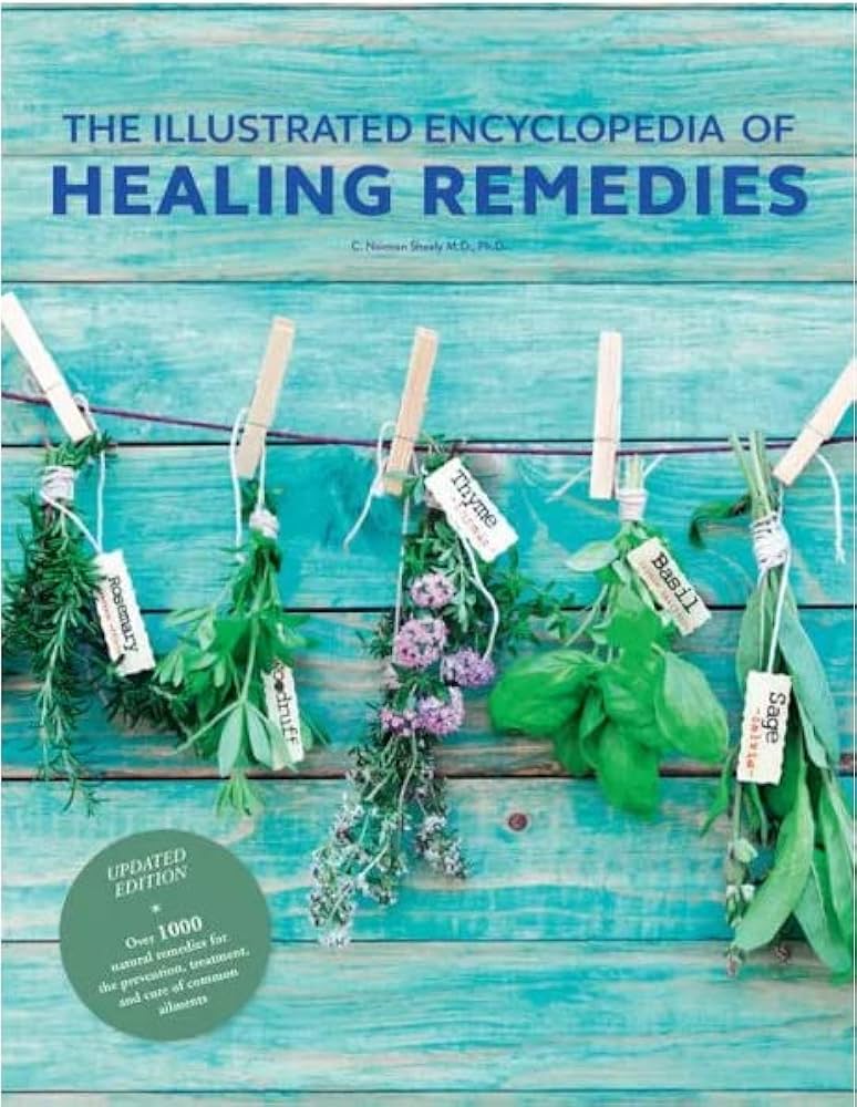 健康・医学 Healing Remedies - C. Norman Shealy 51r4JVgeCdL._UF1000,1000_QL80_.jpg