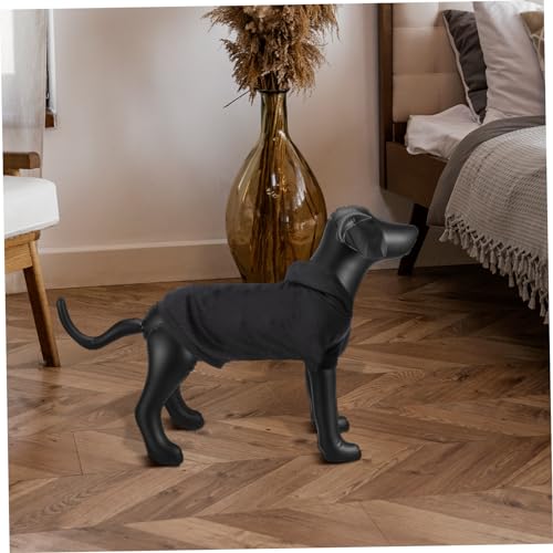 Recopilación y reviews de Expositores ropa disponible en línea para comprar. 34 Imagen adicional