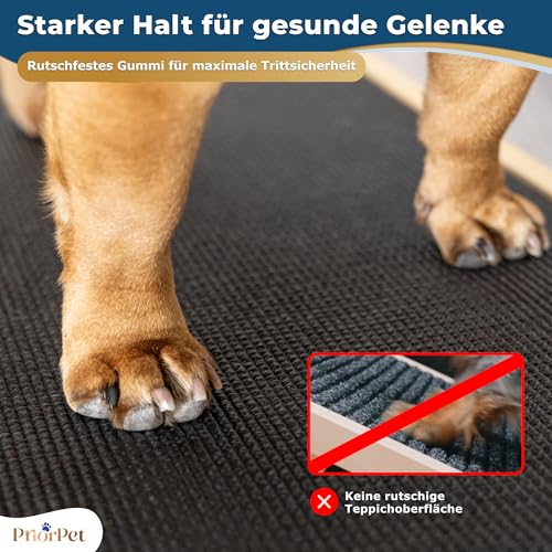 Hunderampe - Hundetreppe für kleine Hunde und große Hunde - Einstellbar 18-53 cm - Für Bett Sofa - Birkenholz - Landeplattform schließt nahtlos an - Rampe Hund Klappbar - Anti-rutsch Einsatz Naturel