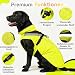 Wasserdichter Hunderegenmantel, reflektierenden Sicherheitsstreifen & Leinenöffnung – Leichte, Jacke für mittelgroße Hunde von Lautus Pets - XL, Gelb