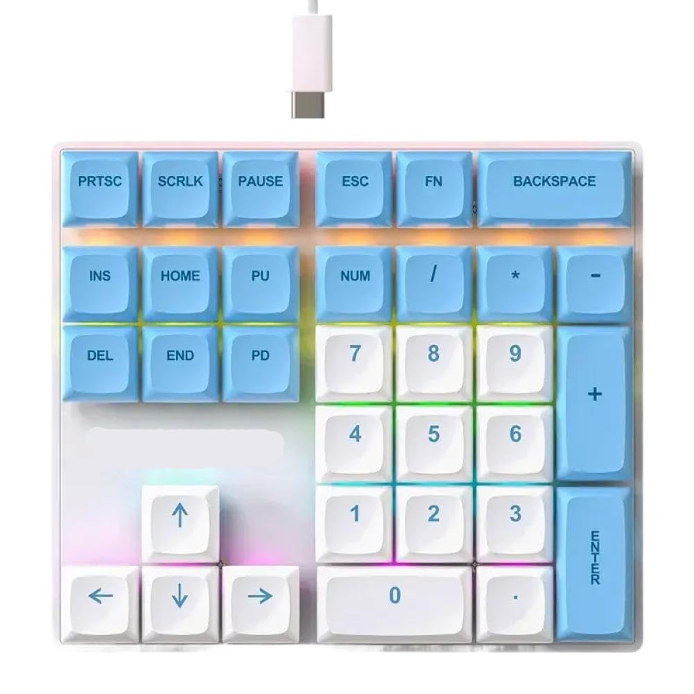 Pavé numérique mécanique Filaire K33 avec lumières Multicolores Compatible avec Ordinateur Portable(BlueWhite)
