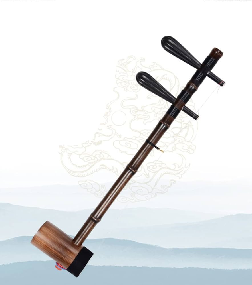 Amazon.co.jp: 二胡チャイナ2弦バイオリン楽器六角形二胡