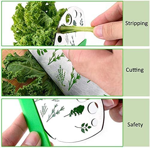 Image of Herb Stripper 9 Holes, 2 Pcs Herbs Destemmer, Stainless Steel Kitchen Gadgets, Vegetable Leaf Stripping Tool, Stem Remover, Looseleaf Trimmer, Greens Separator, Rose Thorn Scraper, Herbalist Supplies