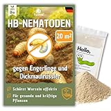 Futeco® – HB-Nematoden gegen Dickmaulrüssler & Engerlinge – für...