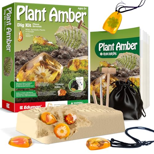 EDUMAN Kit de Excavación para Niños, Kit de Excavación de Fósiles, fósil de ámbar, Juegos educativos niños 6 7 8 9 10 12 años, Regalos para Niños y Niñas (Plantas)