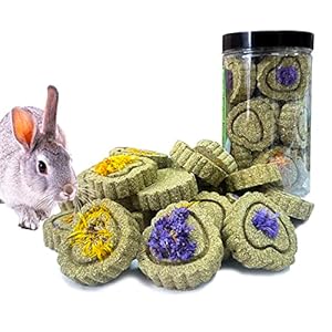 Rabbit Chew Toys for Teeth, 18PCS Natural Timothy Hay Chew Toy, Improve Dental Health for Bunny/ Chinchilla/ Guinea Pig/ Hamsters/ Holland Lop, Small Rodent Pet Molar Teeth Treats Toys