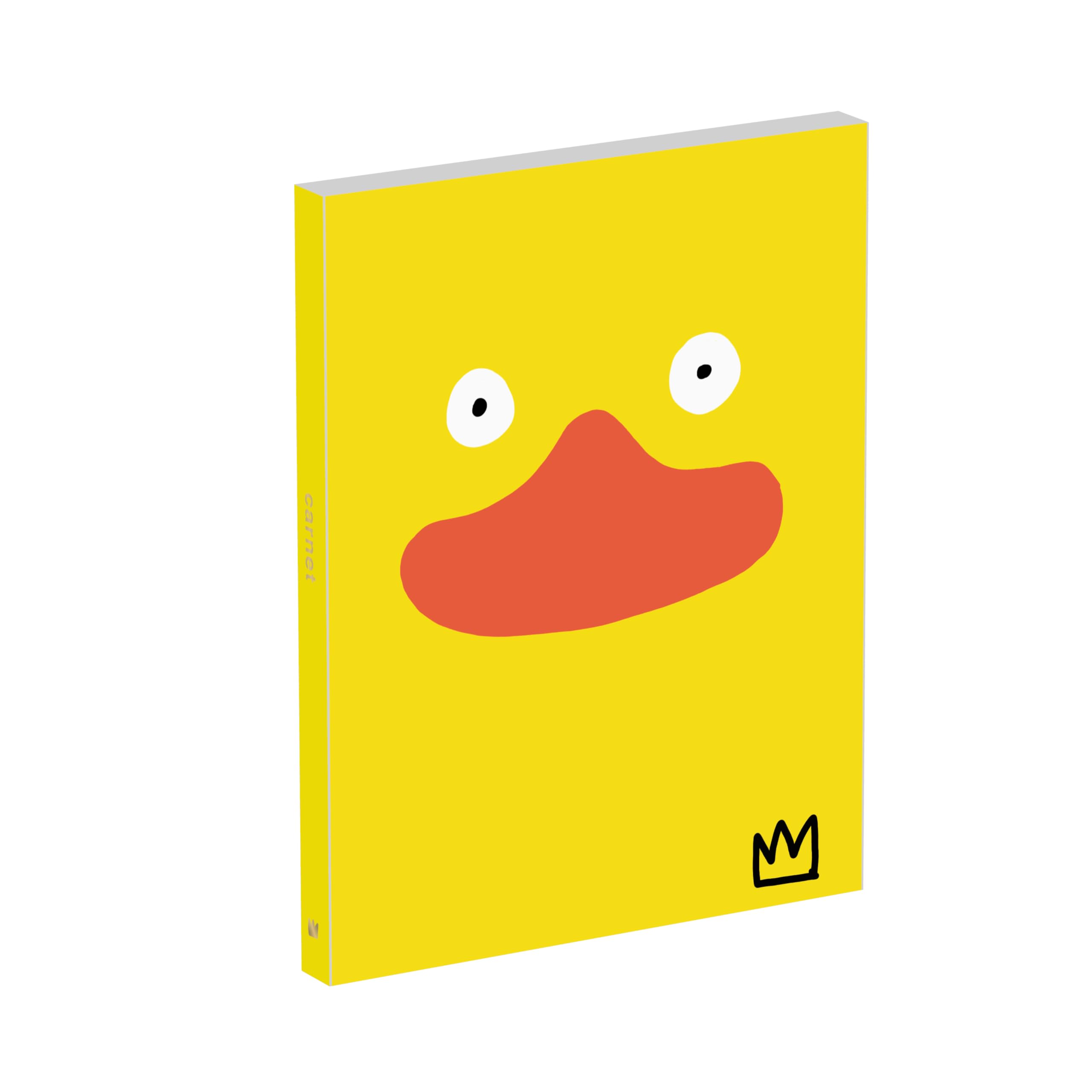 Ty Carnage - le coffret collector avec un carnet d'artiste: livre d'activités + carnet à remplir - offre cadeau - loisir artistique - par l'artiste des réseaux Tycieso