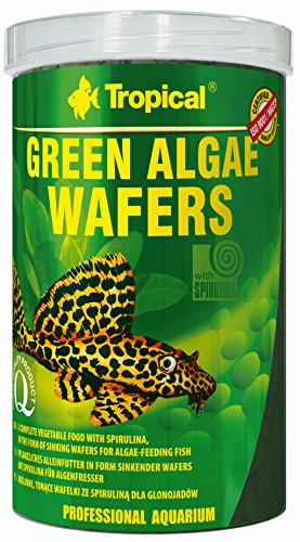 Green Algae WAFERS 1000ml / 450g - Mangime con spirulina, alghe e Foglie di ketapang per Pesci Che Si nutrono sul Fondo