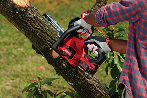 image for CRAFTSMAN V20 Cordless Chainsaw, 12-Inch Electric Chainsaw, Battery Po