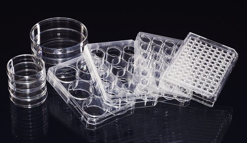 Thermo Scientific Polystyrene Tissue Culture Dish with Lid, Working Volume 5ml (Case of 20)