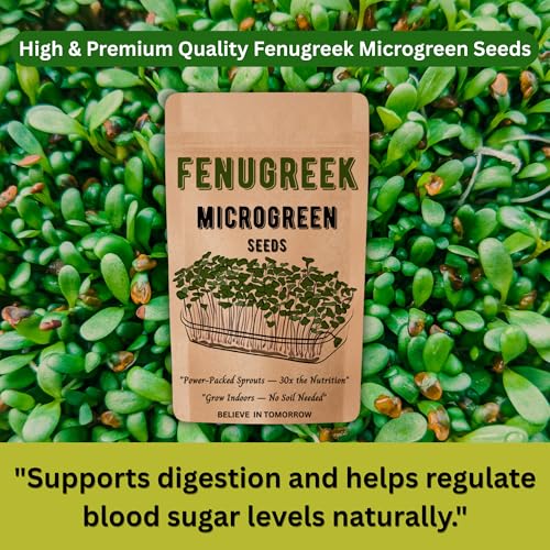 Image of Navika Seeds Fenugreek Microgreen for Hydroponic, Soil & Tray Growing | Fast Germination | High Yield | Non-GMO Methi Microgreens Seeds | Free Growing Guide Included | 100 Gram Packet