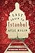 Last Train to Istanbul: A Novel
