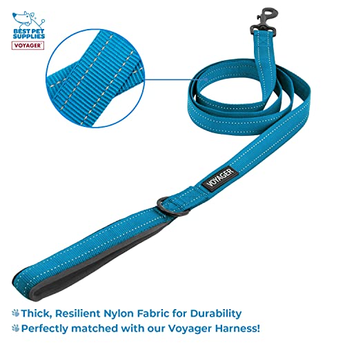 Image of Voyager Step-in Air All Weather Mesh Harness and Reflective 5 ft Dog Leash with Neoprene Handle for Small, Medium and Large Breed Puppies by Best Pet Supplies - Blue Trim, XS
