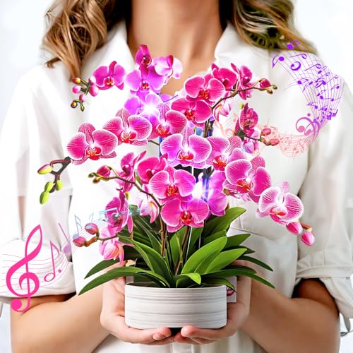Birthday Cards Mothers Day Cards with Light and Music Orchid Oasis 10 Inch Forever Flower Bouquet Greeting Card Thank You Cards Get Well Soon for Her Women Wife Daughter Sister