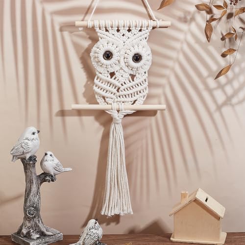 BEUNITONE Kit de coruja de macramê para adultos, iniciantes, faça você mesmo, kit de macramê para pe