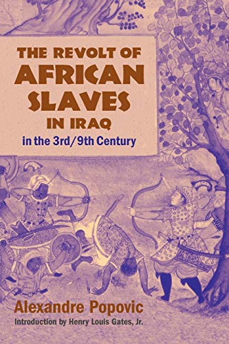 The Revolt of African Slaves in Iraq in the 3rd / 9th Century (Princeton Series on the Middle East)