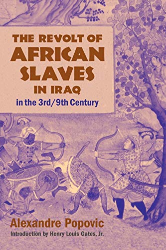 The Revolt of African Slaves in Iraq in the 3rd   9th Century (Princeton Series on the Middle East)