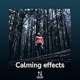 Cloud Bed Records