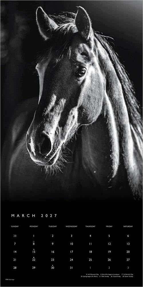 The BrownTrout Portrait Series: El Caballo Noble | Calendario mensual cuadrado de pared 2027 de 12 x 24 pulgadas (colgando) | Sin plástico | Mascotas ecuestres