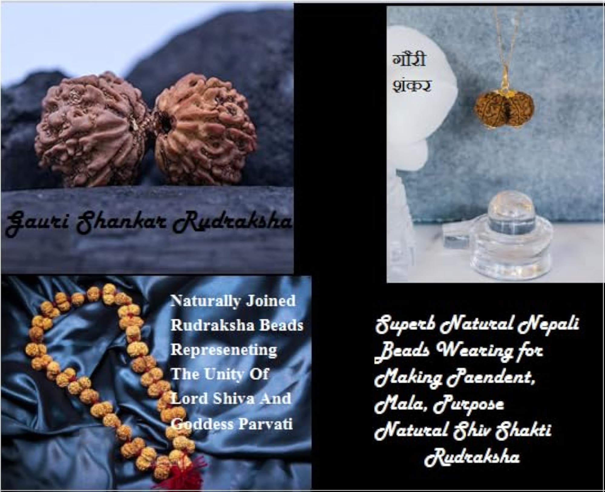 Precious Gauri Shankar Rudraksha, Lab Certified Pendant