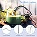 TOPKAY Torch Lighter Refillable Butane Lighter Long Flexible Neck Multipurpose Lighter for Candles Grill BBQ Fireplaces Kitchen Camping (No Prefilled)