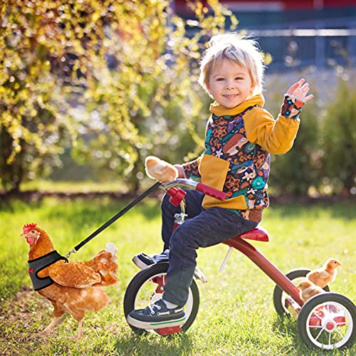 Molain Verstellbares Hühnergeschirr mit Leine, Bequeme Hühnerweste atmungsaktives Hühner Trainingsgeschirr Mesh Haustiergeschirr für 2–11 lb (1–5 kg) Ente Gans Henne Traning Medium (schwarz)
