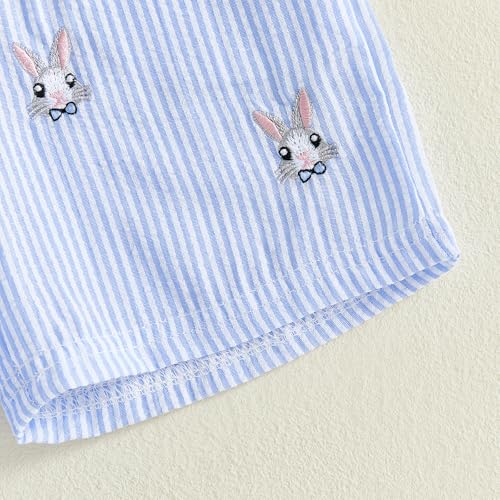 Image of Toddler Baby Boy Easter Rabbit Outfit Short Sleeve Bunny Carrot Smocked T-shirt Elastic Waist Shorts Summer Clothes
