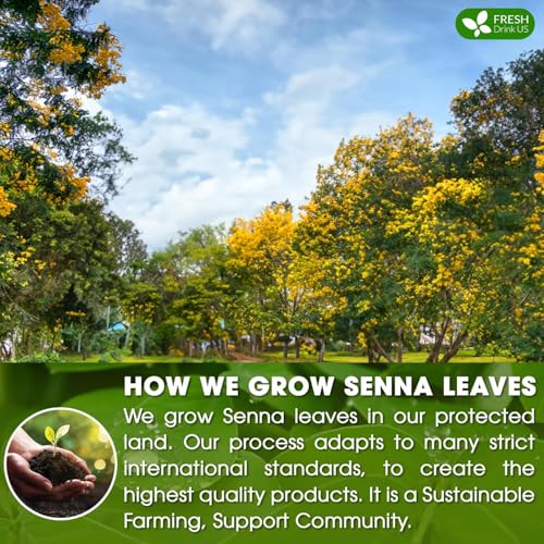Image of FreshDrinkUS, Premium 135 Senna Leaf Tea Bags for Constipation, Supports Your Cardiovascular System, 100% Natural & Pure. Loose Leaf Senna Herbal Tea, Made with Natural Material Tea Bags. Non GMO, No Sugar / Caffeine / Gluten, Vegan.
