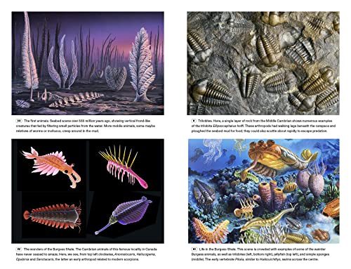 Image of Extinctions: How Life Survives, Adapts and Evolves