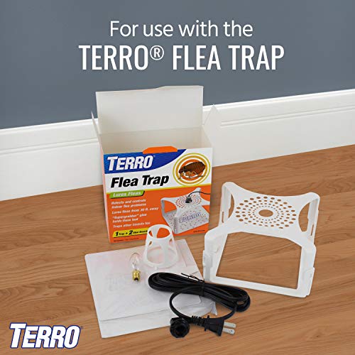 Terro T231 Flea Trap Refills - Replacement Flea Trap Glue Boards,White thumb #4