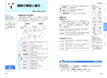 レック 公務員 2018年度演習問題 新品・未使用 Amazon.co.jp: 公務員試験 問題集 LEC 過去問解きまくり