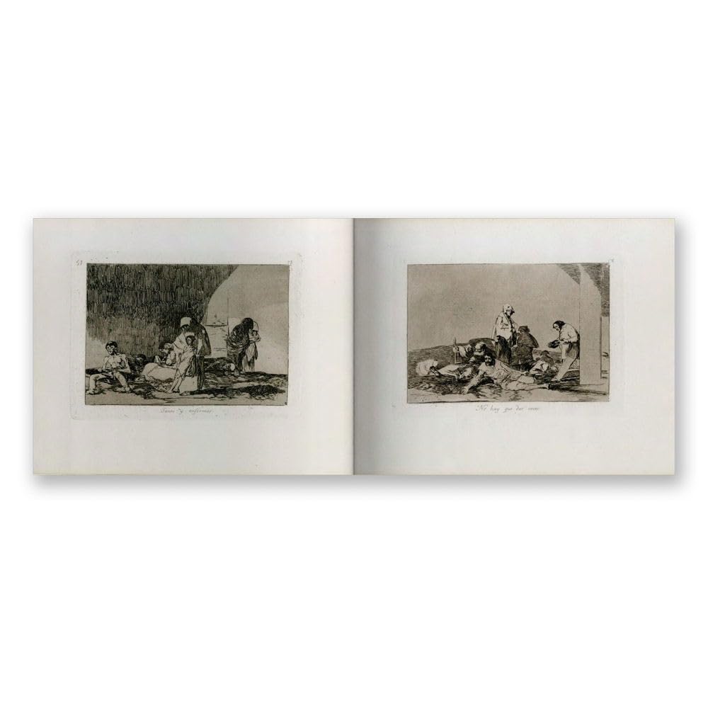 Goya: The Disasters of War /anglais