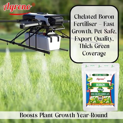 Image of Chelated Boron - 20% EDTA, Powerful Essential Organic Fertilizer for Fast Growth of All Plants. (1 kg)