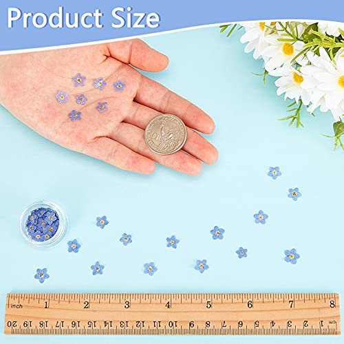 Nuanchu Natural Forget-me-not Dried Flowers Don't Forget Me Dried Real Pressed Flowers for Jewelry Candle Card Making DIY Resin Ornaments Nail Art Decorations(50 Pieces) - Image 2