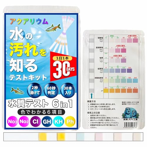 gACH[ ANAE eXg y30pz ̉m 6in1  Lbg   _J Mы W