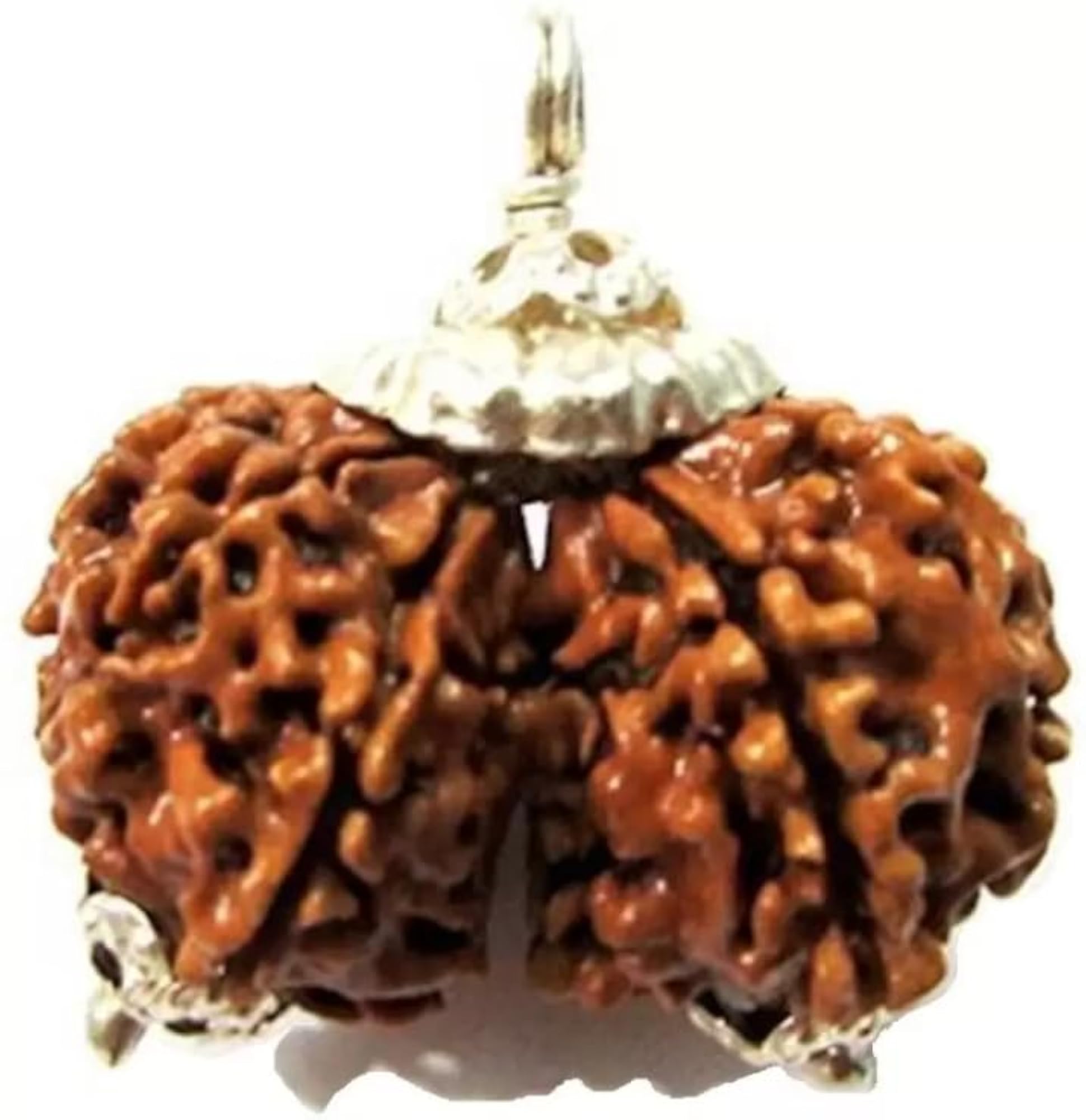 Gauri Shankar Rudraksha 13 Mukhi Certified Pendant, Shiv Parvati Blessing