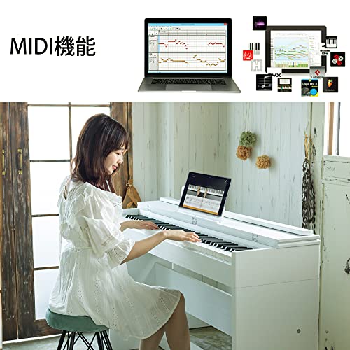 カリーナ Carina 電子ピアノ 88鍵盤 ハンマーアクション鍵盤 SR0088CLS290ZE0088LF0088LUP0088 の商品画像 4
