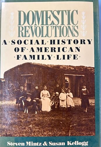 Domestic Revolutions: A Social History of Ameri... 0029212901 Book Cover