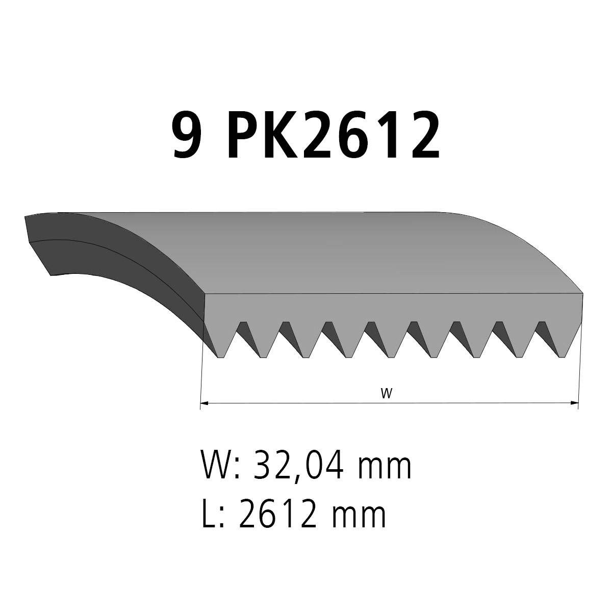 DT Spare Parts 4.80749 Cinghia servizi