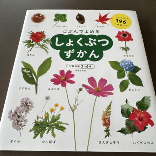 しょくぶつずかん（幼児向けや図鑑タイプ）