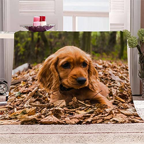 3D Plaid Couverture Polaire en Flanelle Cocker Anglais Douce Chaude Microfibre ete Hiver Couverture 100x130 Chien Animal Linge de lit Couvre-lit Couverture de cnapé pour Bebe Fille Garcon Enfant Cover