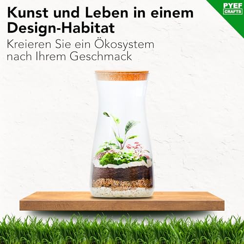 Foto von Flaschengarten Komplettset zum Schaffen EIN Ökosystem im Glas - Terrarium Starter Kit zum Anlegen EIN Biotop im Glas - Terrarium mit Garten Werkzeug, Moos, Erde, Steinen (Ohne Pflanze)