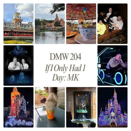 If I Only Had One Day: Magic Kingdom