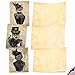 The Best Card Company - 10 Adorable Blank Cat Cards (4 x 5.12 Inch) - Cute Pet Kittens, Assorted Bulk Notecard Set - Steampunk Cats M6554OCB